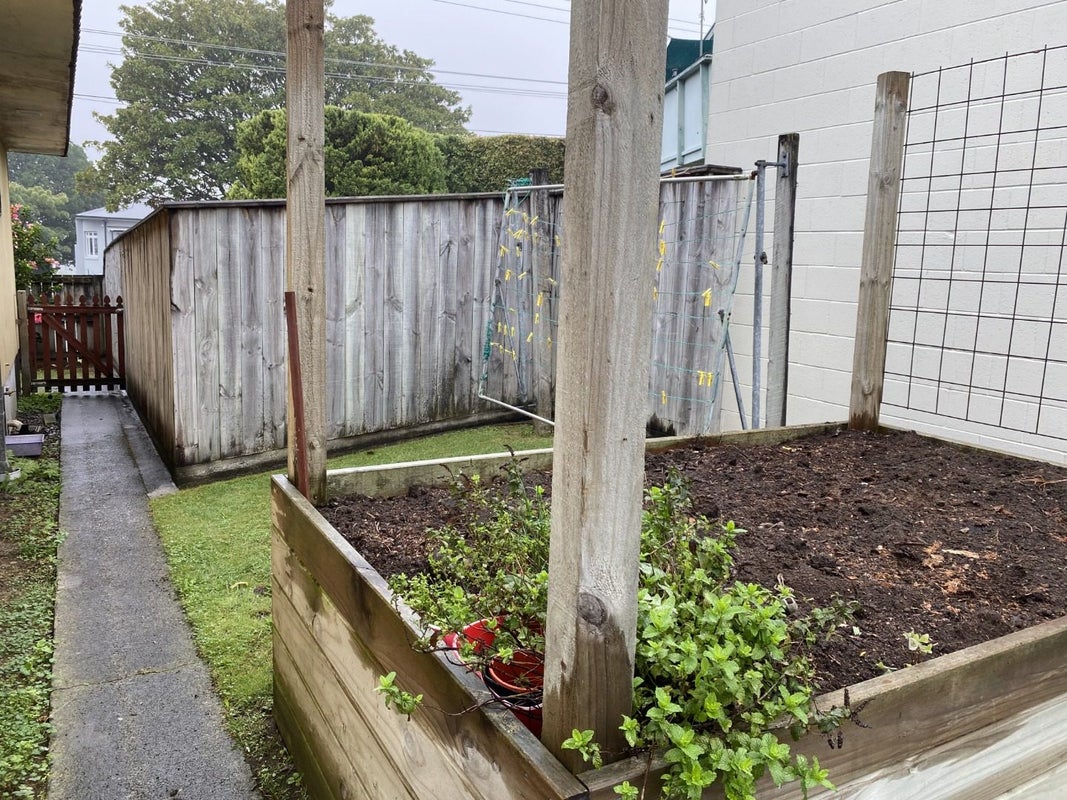 2 Lynwood Place, Brookfield, Tauranga - Carousel 2