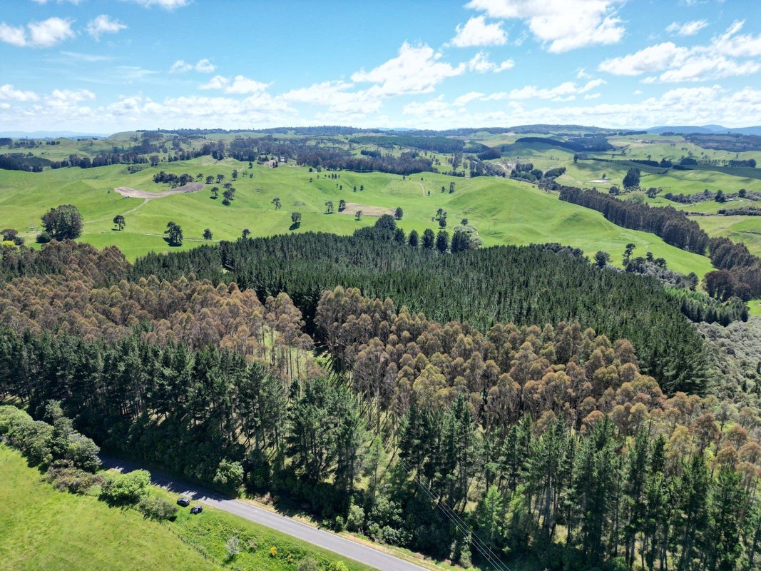 1401 Whangamata Road, Marotiri, Taupo - Carousel 1