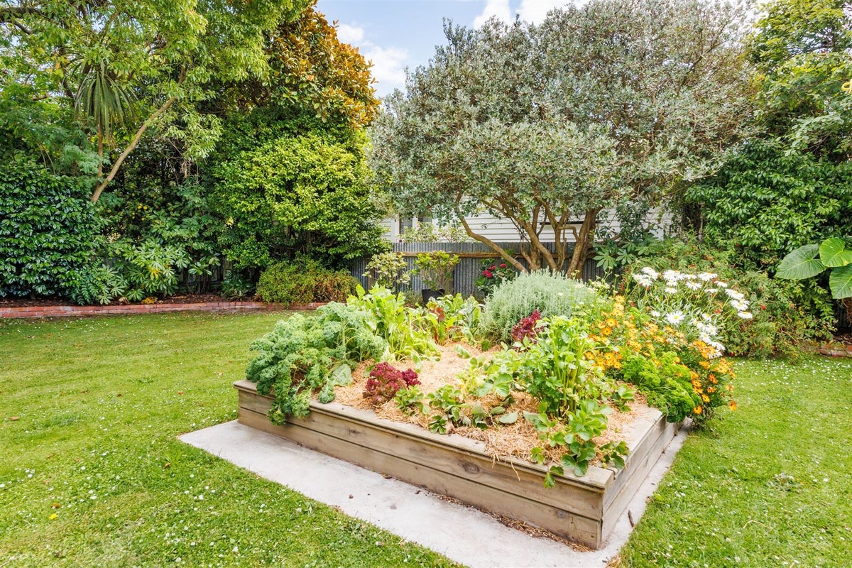 247 College Street, West End, Palmerston North - Carousel 50