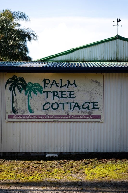 621 State Highway 2, Tahawai, Katikati - Carousel 19