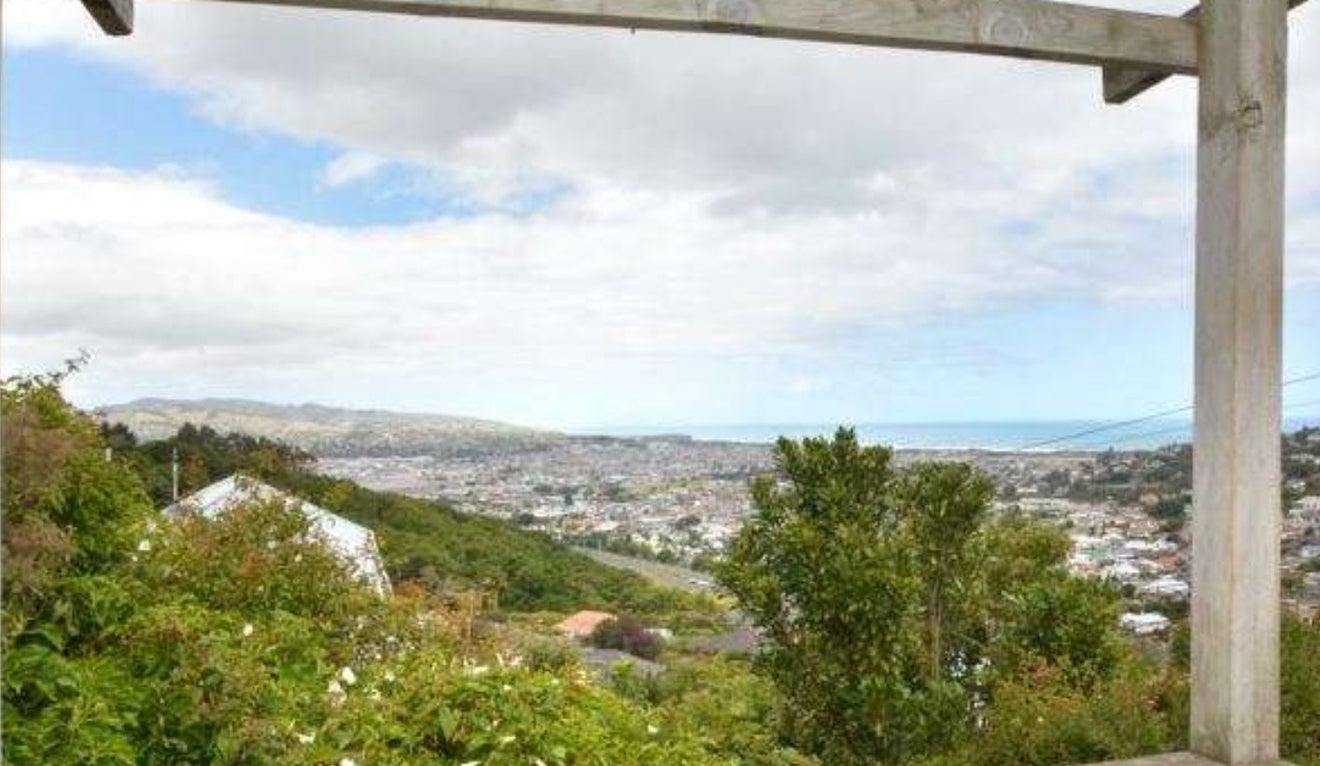 9 Robinson Street, Lookout Point, Dunedin - Carousel 24
