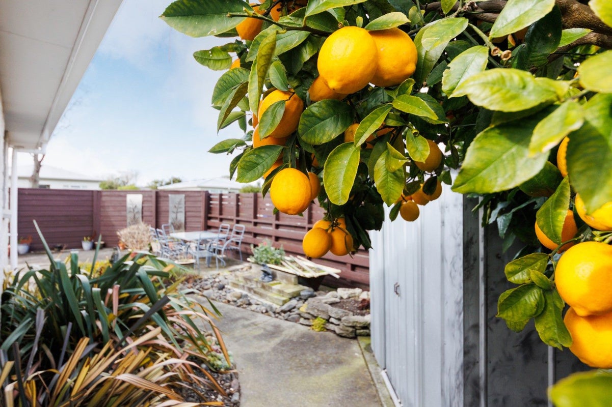 10 Botanical Road, Takaro, Palmerston North - Carousel 24