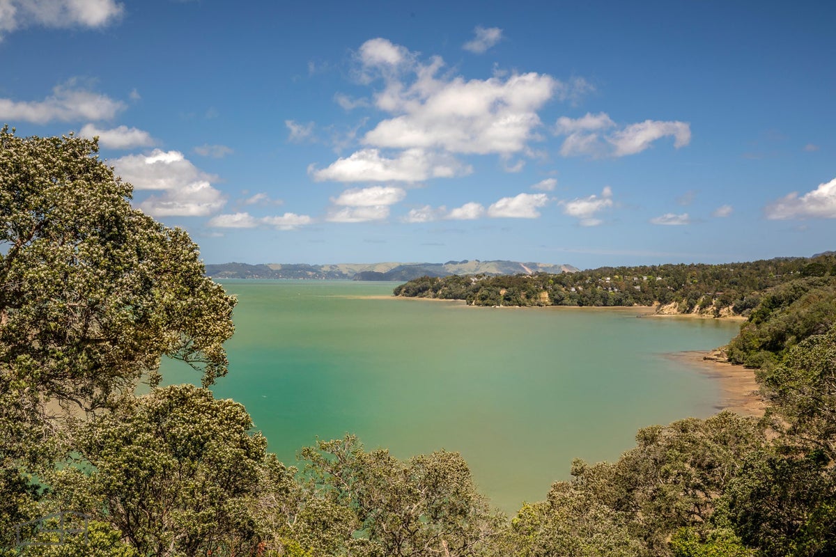 38 Cliff View Drive, Green Bay, Auckland - Carousel 2
