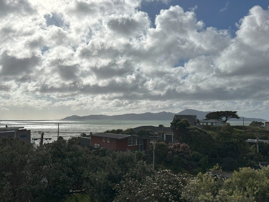 50 Rosetta Road, Raumati South, Paraparaumu - Carousel 2