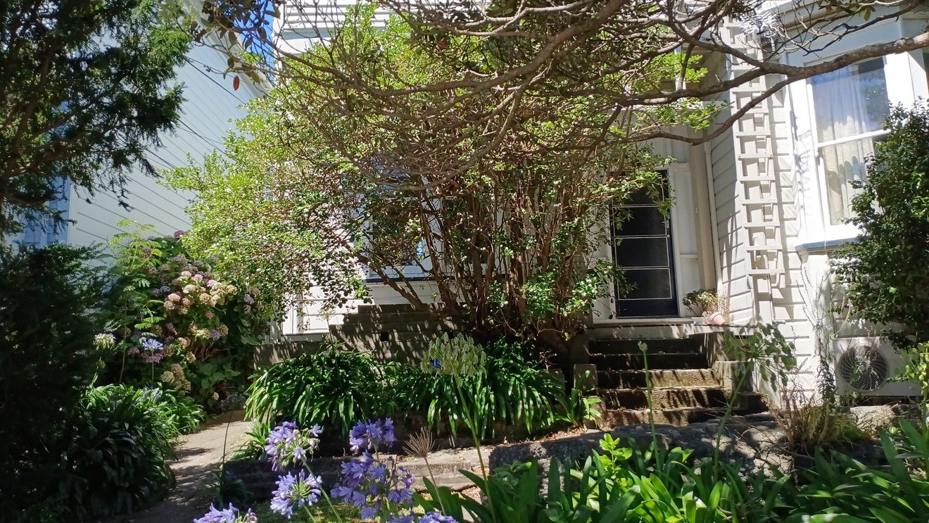147 Brougham Street, Mount Victoria, Wellington - Carousel 1
