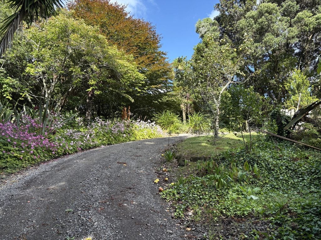 1162F Welcome Bay Road, Papamoa, Papamoa - Carousel 45
