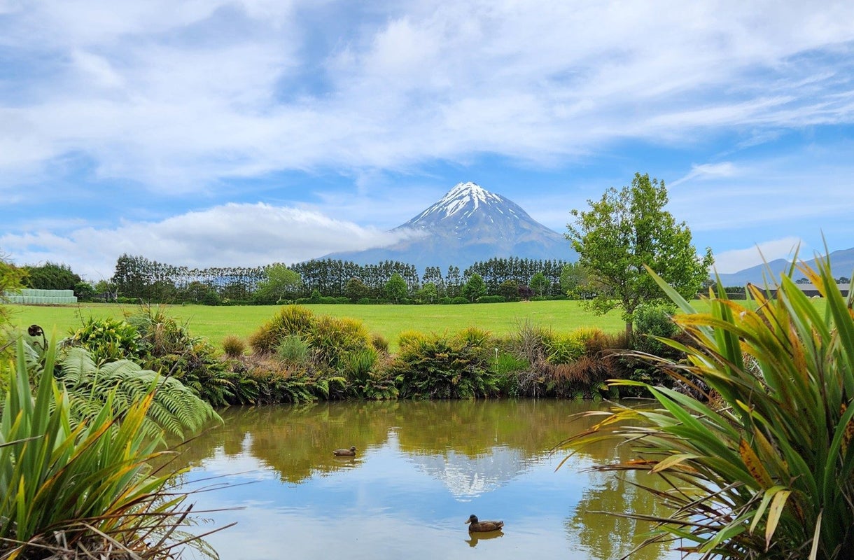 1918 Egmont Road, Kaimiro, Inglewood - Carousel 16