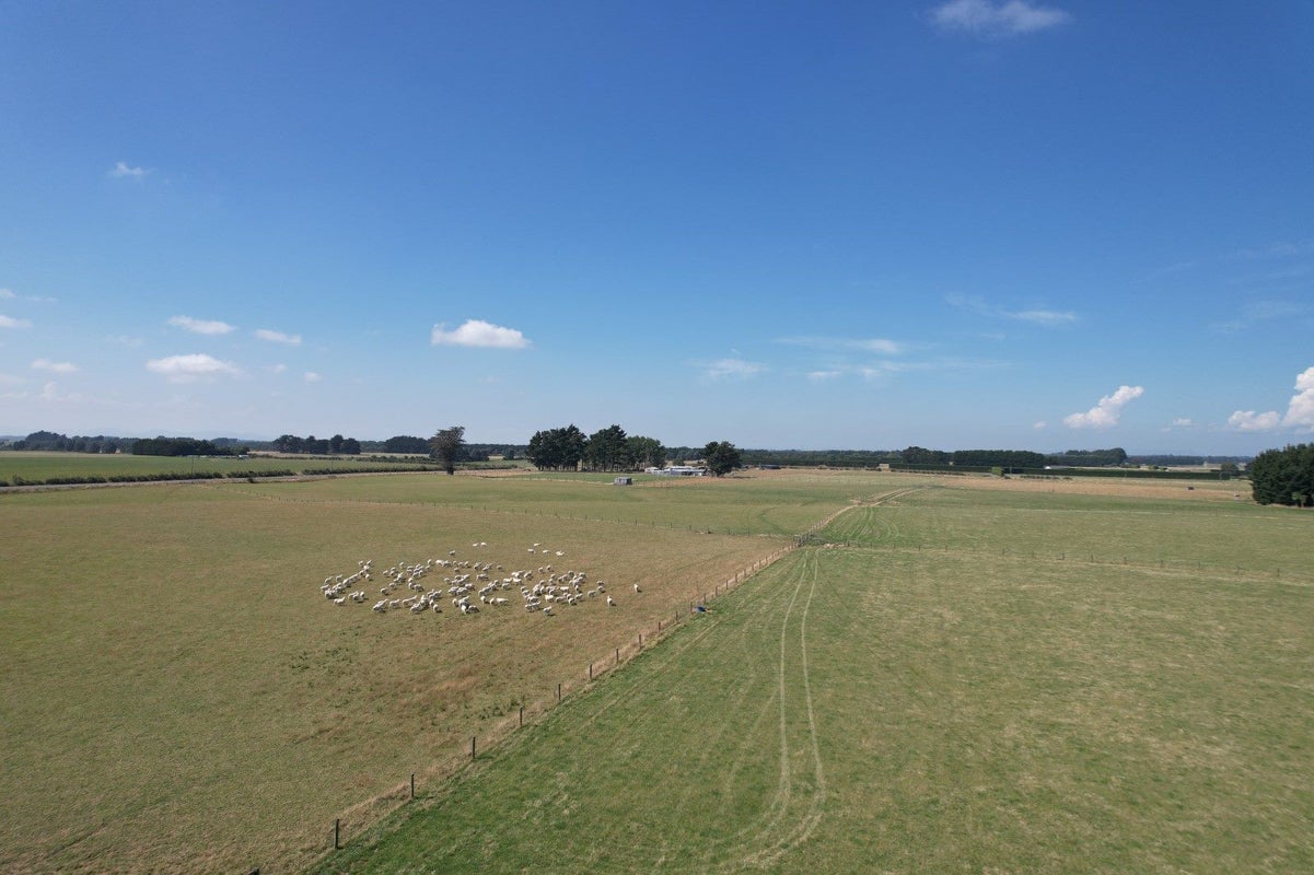 750 Woodlands Invercargill Highway, Longbush, Invercargill - Carousel 2
