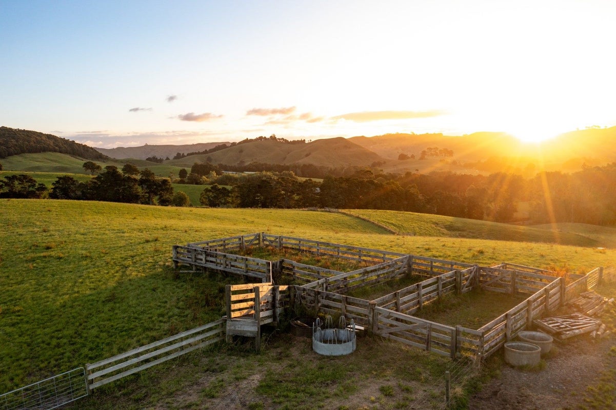 406 Old Kaipara Road, Kaipara Flats, Warkworth - Carousel 1