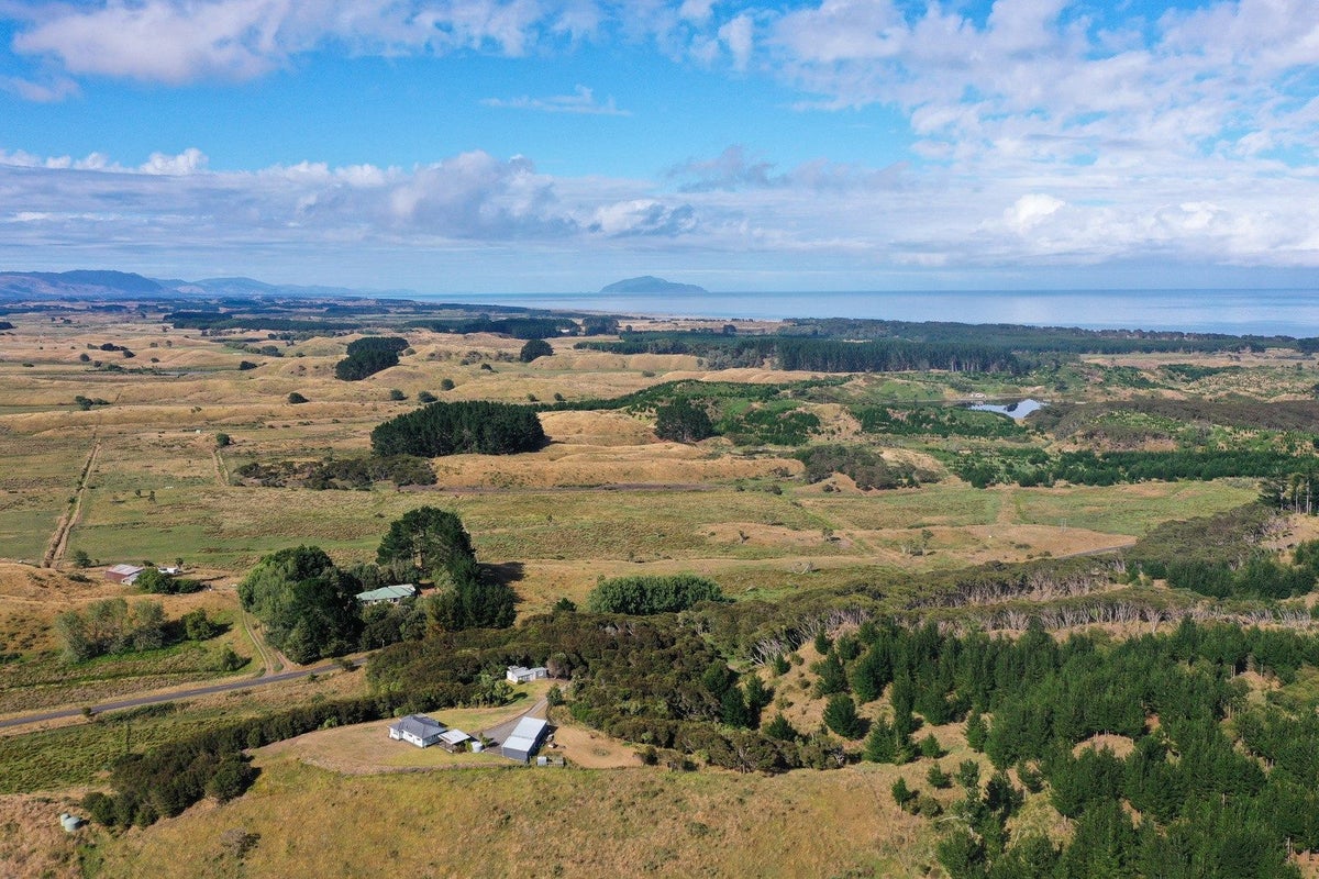 398 Hokio Sand Road, Hokio Beach, Levin - Carousel 26