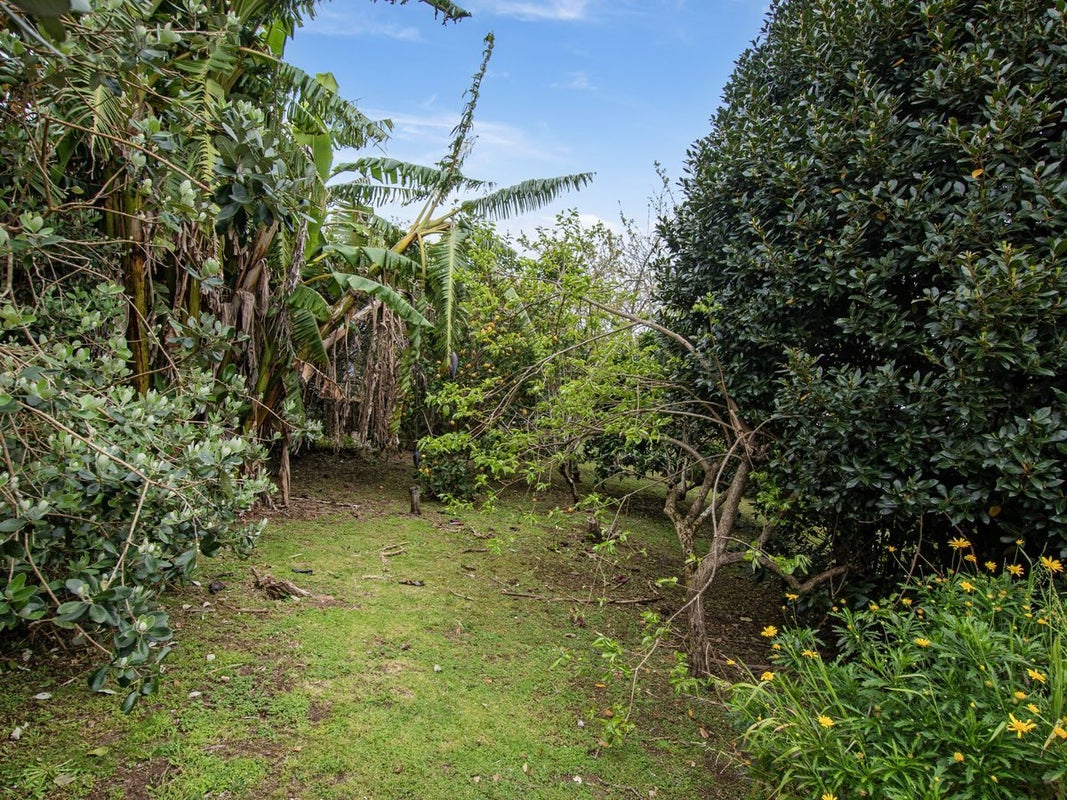 36 Fisher Terrace, Kamo, Whangarei - Carousel 22