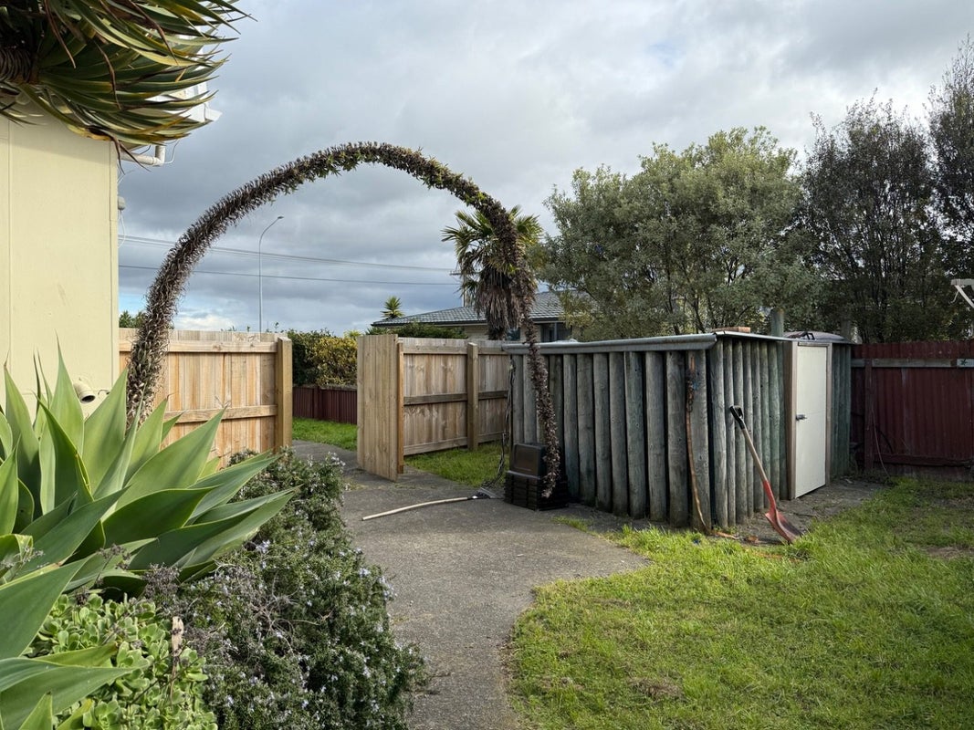 31 Meeanee Quay, Westshore, Napier - Carousel 29