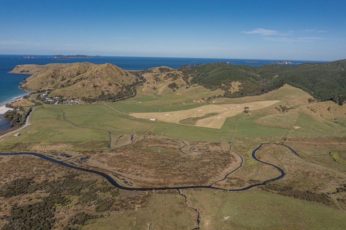 550 Black Jack Road, Opito Bay, Whitianga - Carousel 2