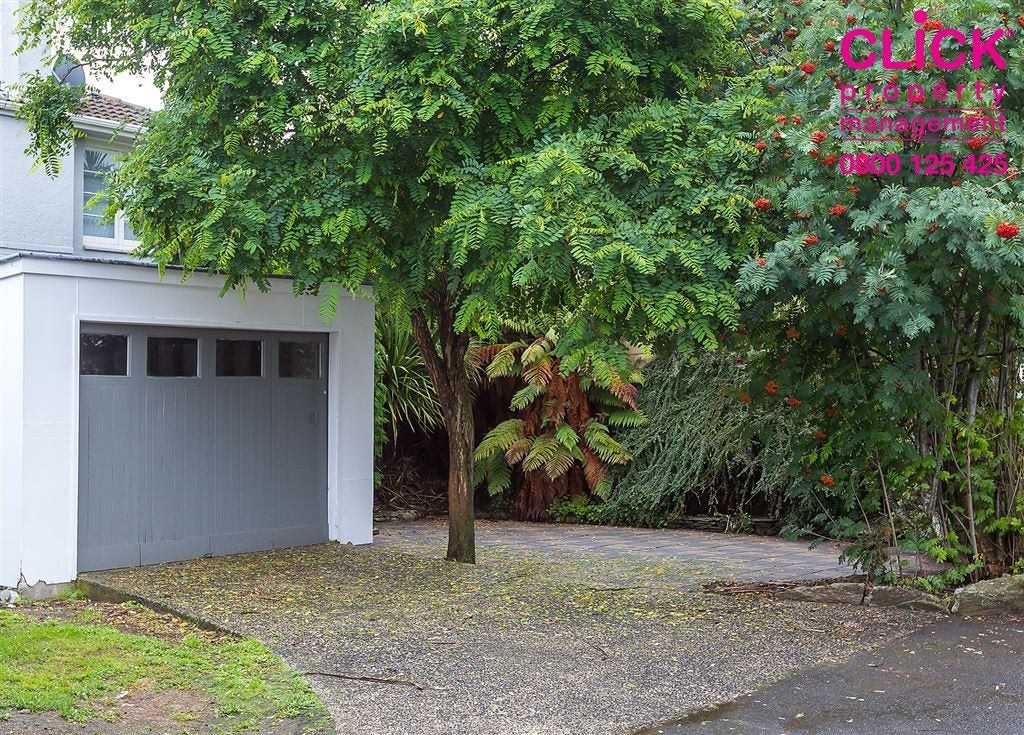 40 Hawthorn Avenue, Mornington, Dunedin - Carousel 15