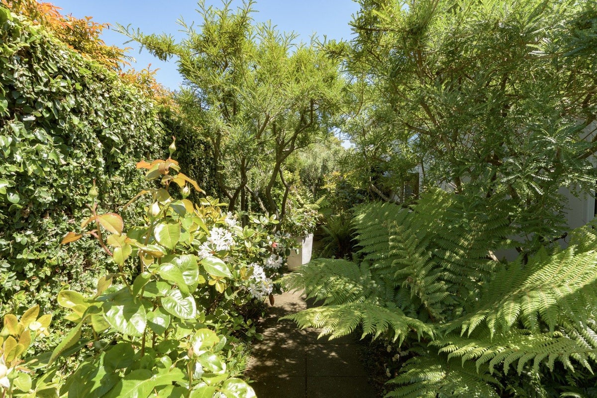 3 Pamela Place, Otumoetai, Tauranga - Carousel 16