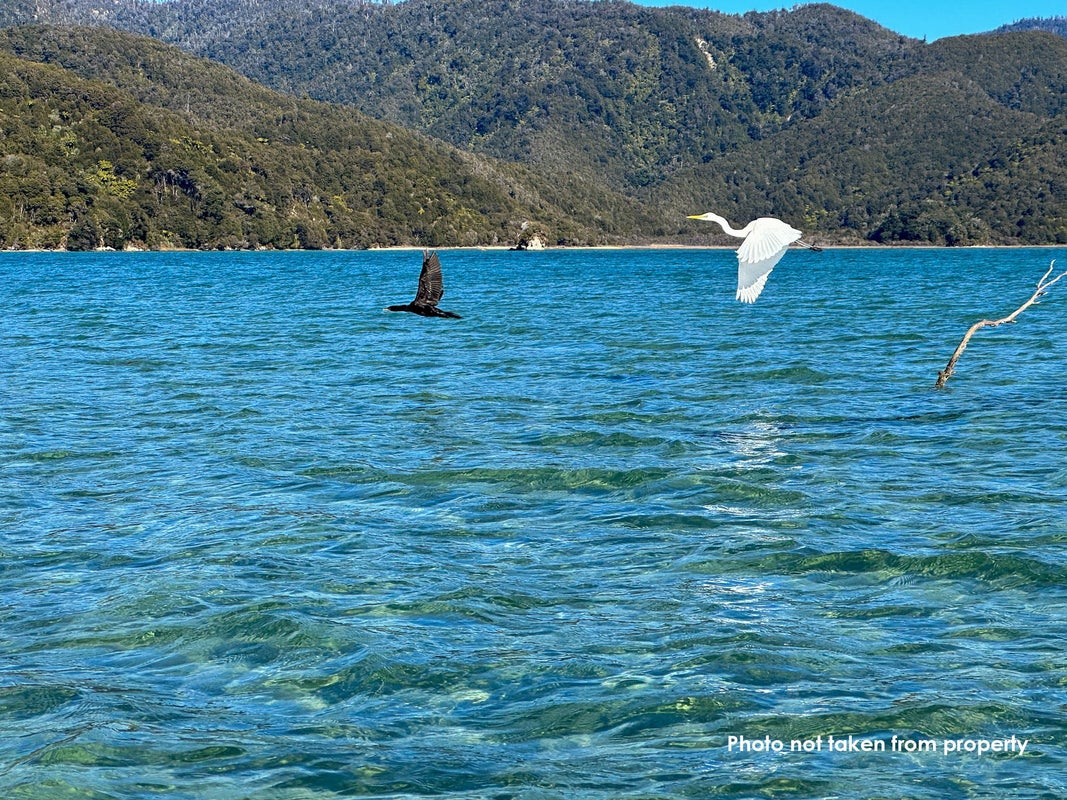 81 Awaroa Inlet (Beach), ABEL TASMAN NATIONAL PARK, TAKAKA - Carousel 30