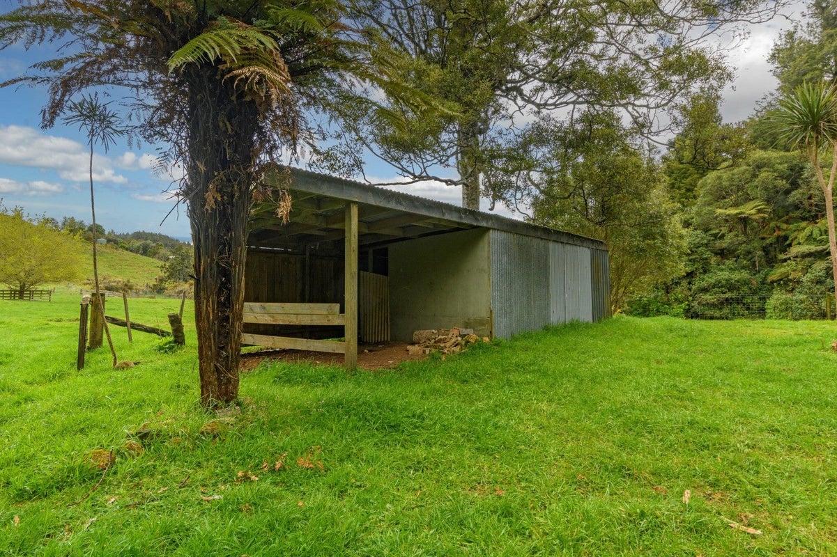 698D Whakamarama Road, Whakamarama, Tauranga - Carousel 22