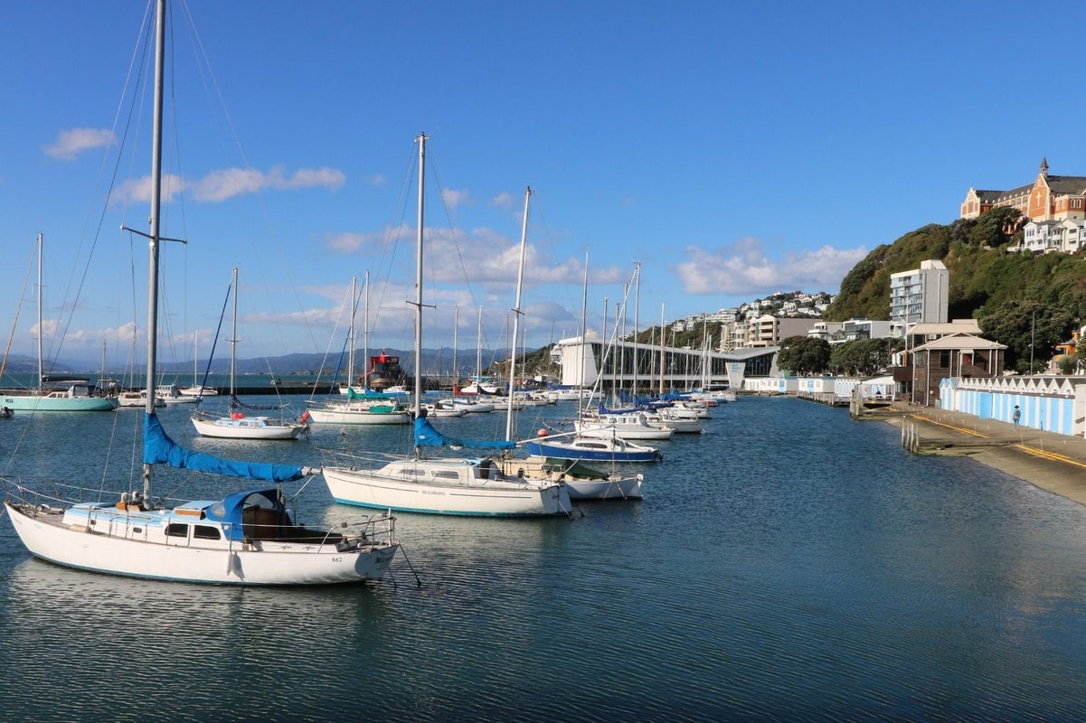 9/48 Oriental Parade, Oriental Bay, Wellington - Carousel 12