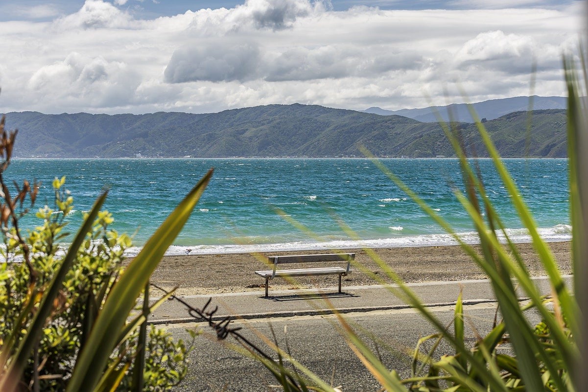 3 Ventnor Street, Seatoun, Wellington - Carousel 2
