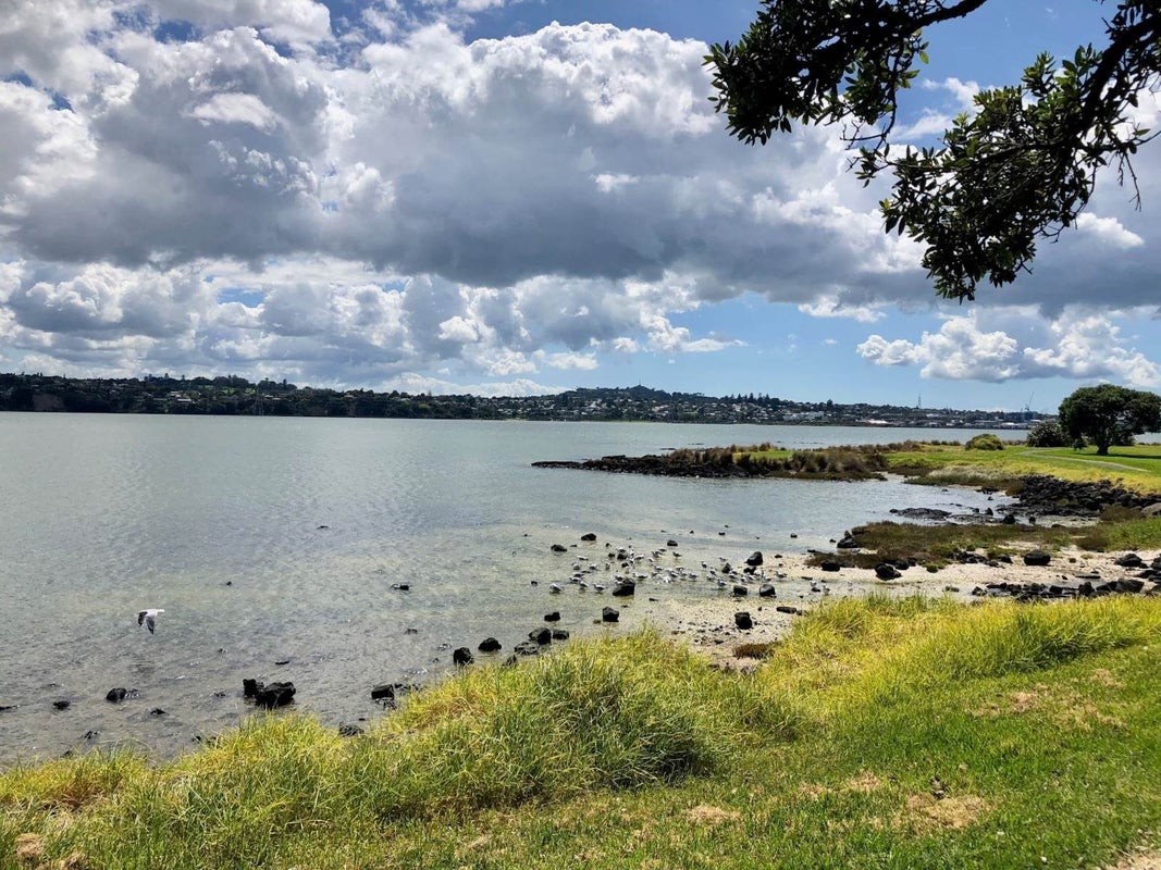 18 Chipping Dale, Mangere Bridge, Auckland - Carousel 15