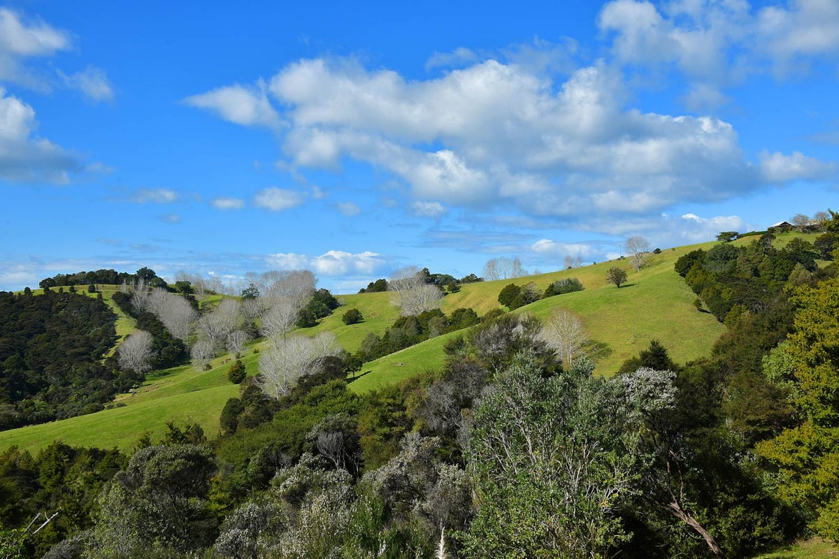 84 The Bullock Track, Mahurangi West, Warkworth - Carousel 2