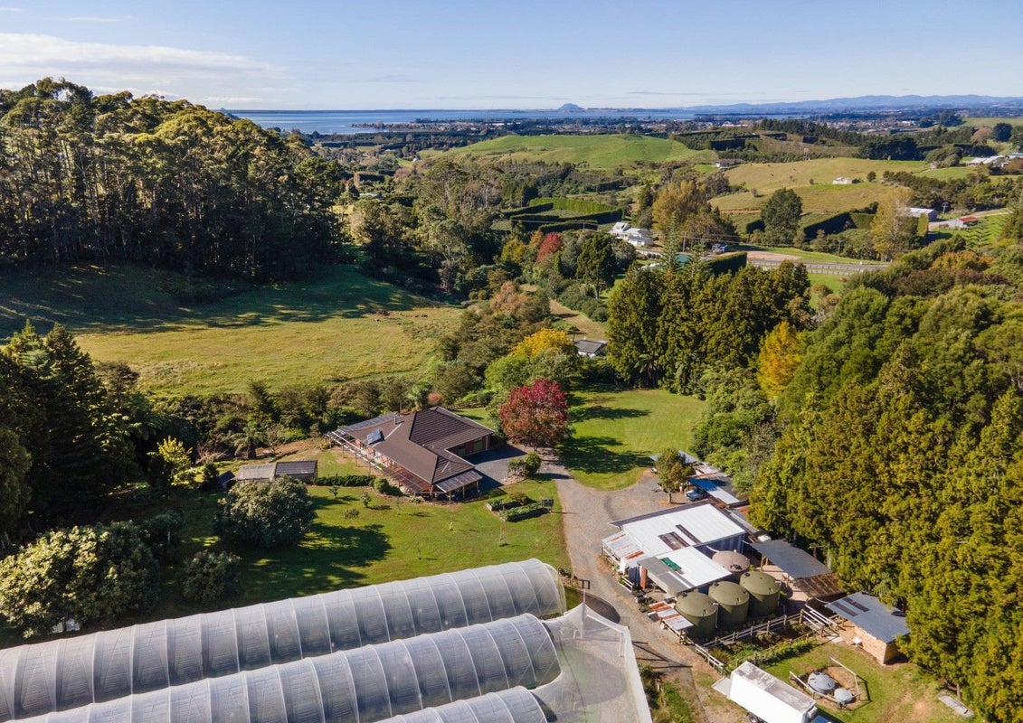 234 Willoughby Road, Tahawai, Katikati - Carousel 33