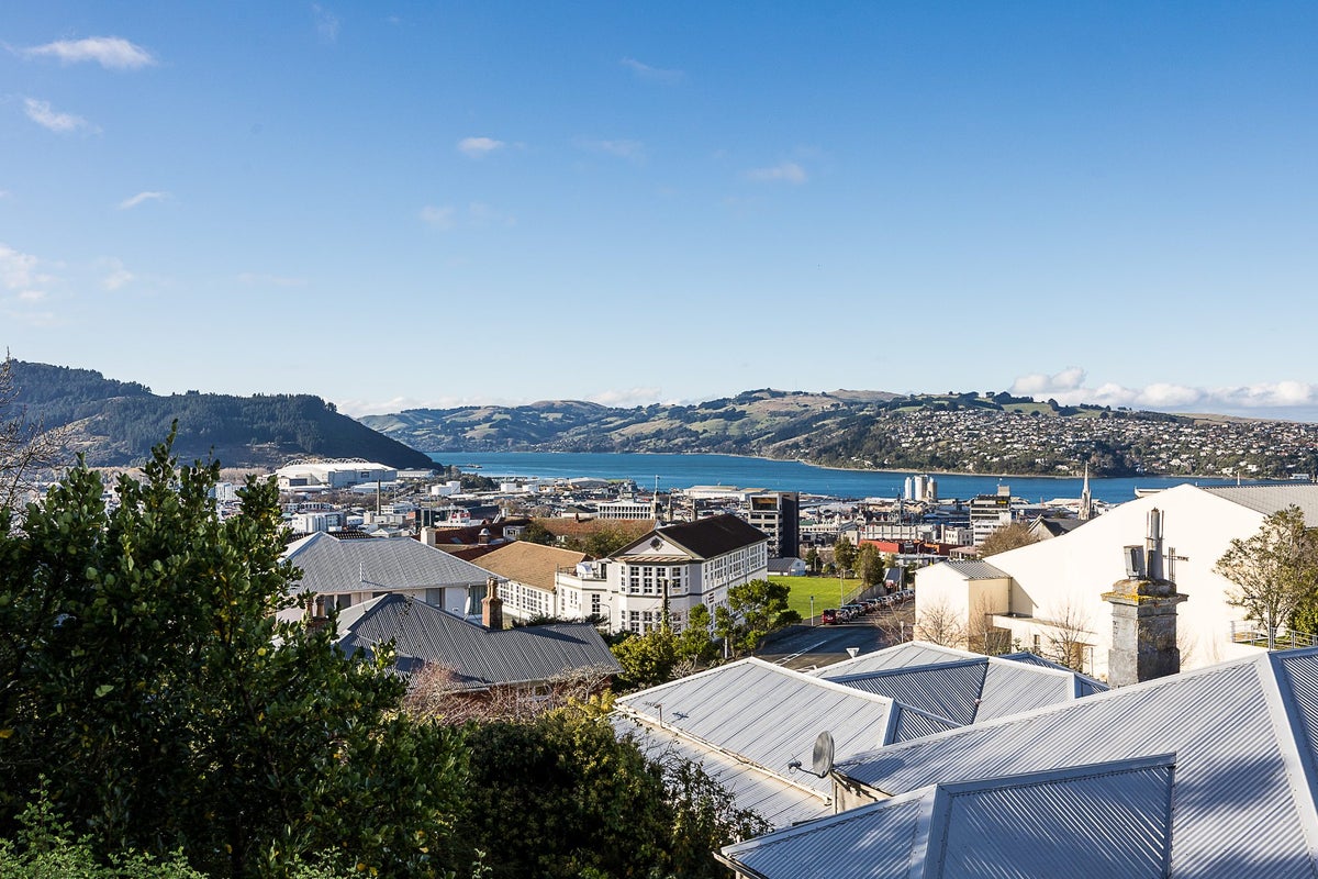 31 Arthur Street, Dunedin Central, Dunedin - Carousel 19