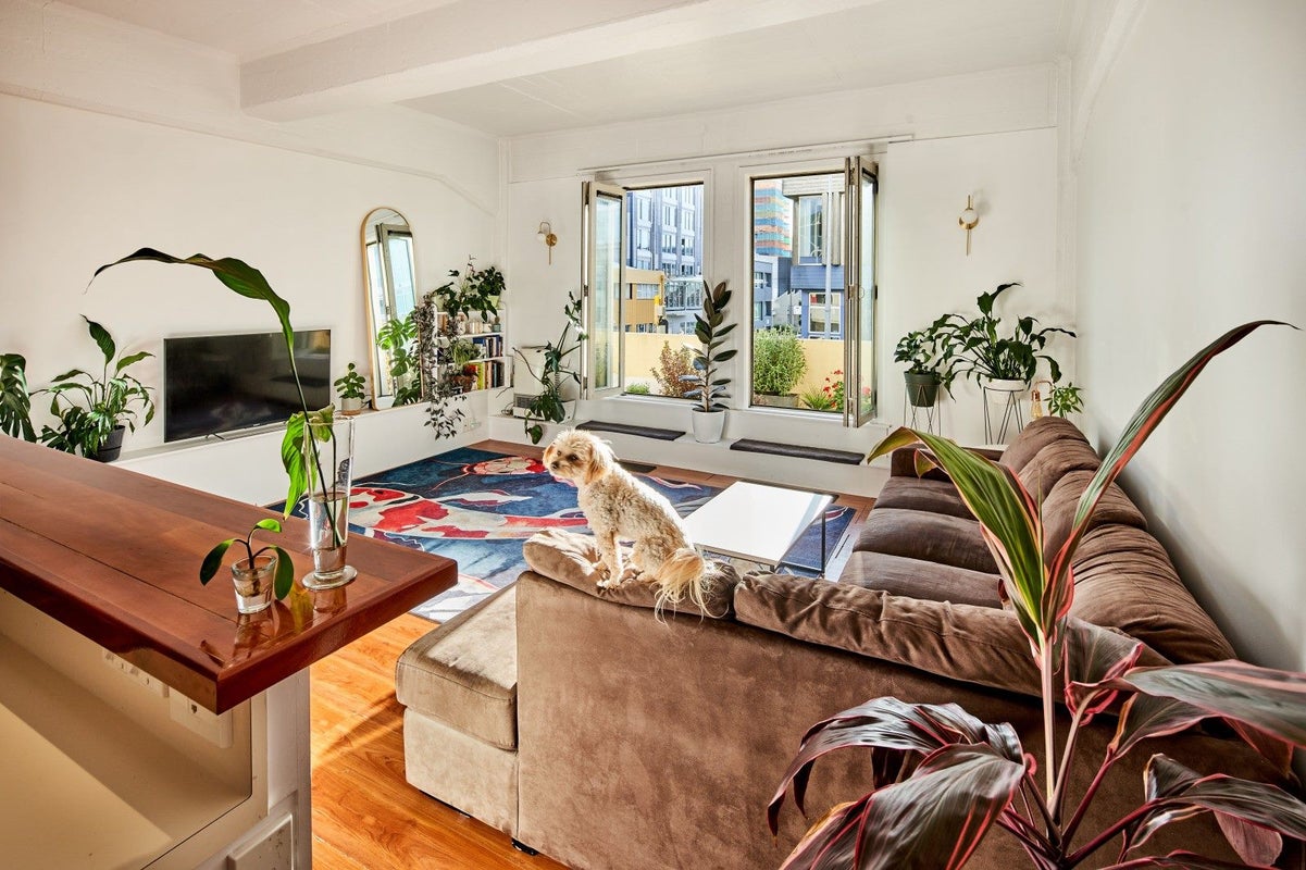 2/42 Vivian Street, Te Aro, Wellington - Carousel 2