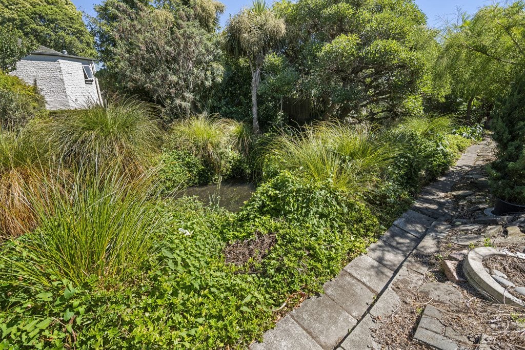 25 Molesworth Place, Somerfield, Christchurch - Carousel 23