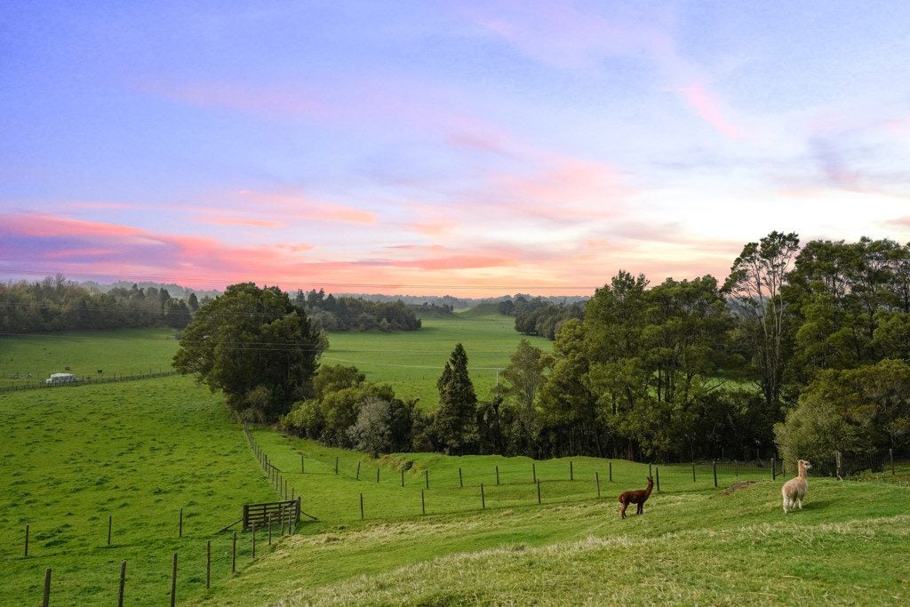 387 Tauranga Direct Road, Hamurana - Carousel 2