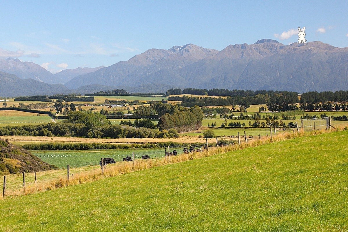 65 Ridgedale Road, HILLSIDE, TE ANAU - Carousel 2
