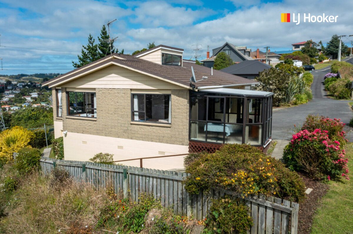 2D Renfrew Street, Balaclava, Dunedin - Carousel 38