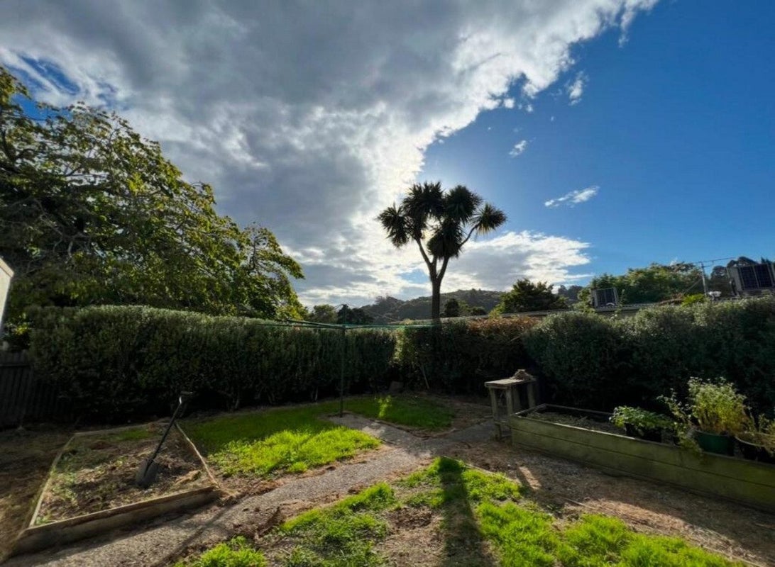 16 Longworth Street, North East Valley, Dunedin - Carousel 6