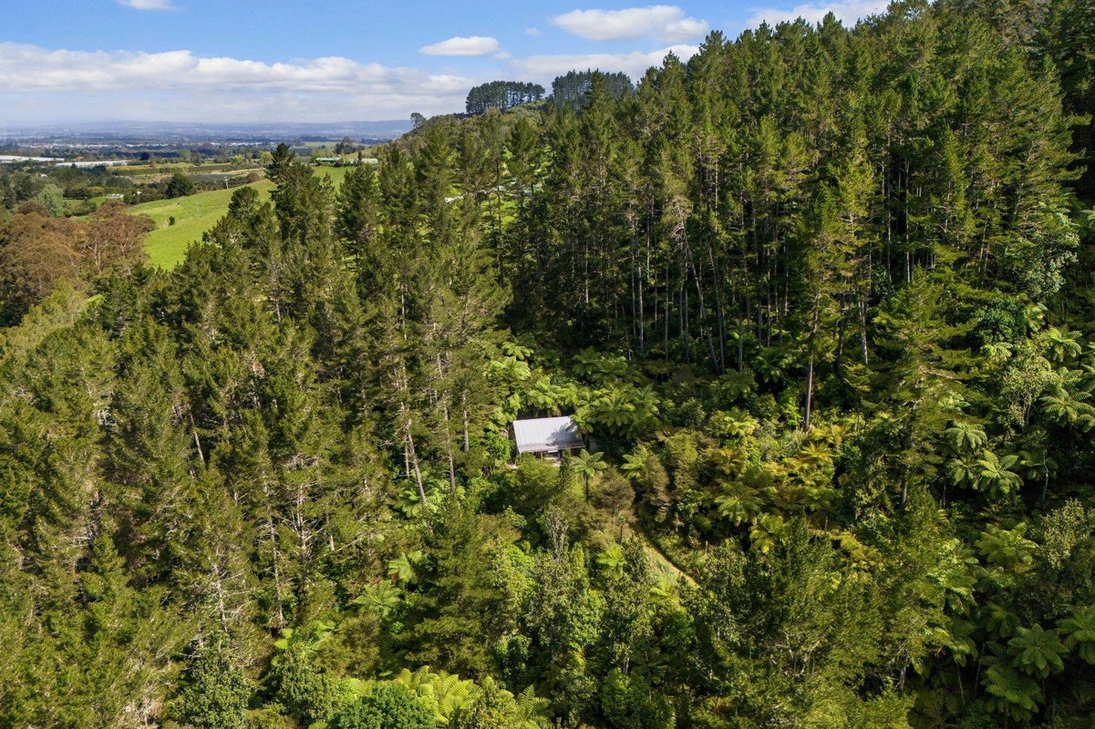 403 Woodland Road, Tahawai, Katikati - Carousel 19