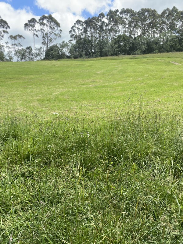 397 Grove Road, Te Pahu, Hamilton - Carousel 40