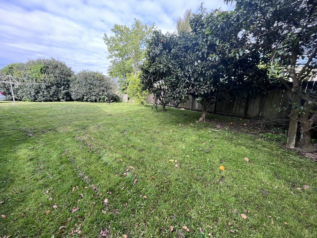 11 Snowden Place, Opaheke, Papakura - Carousel 24