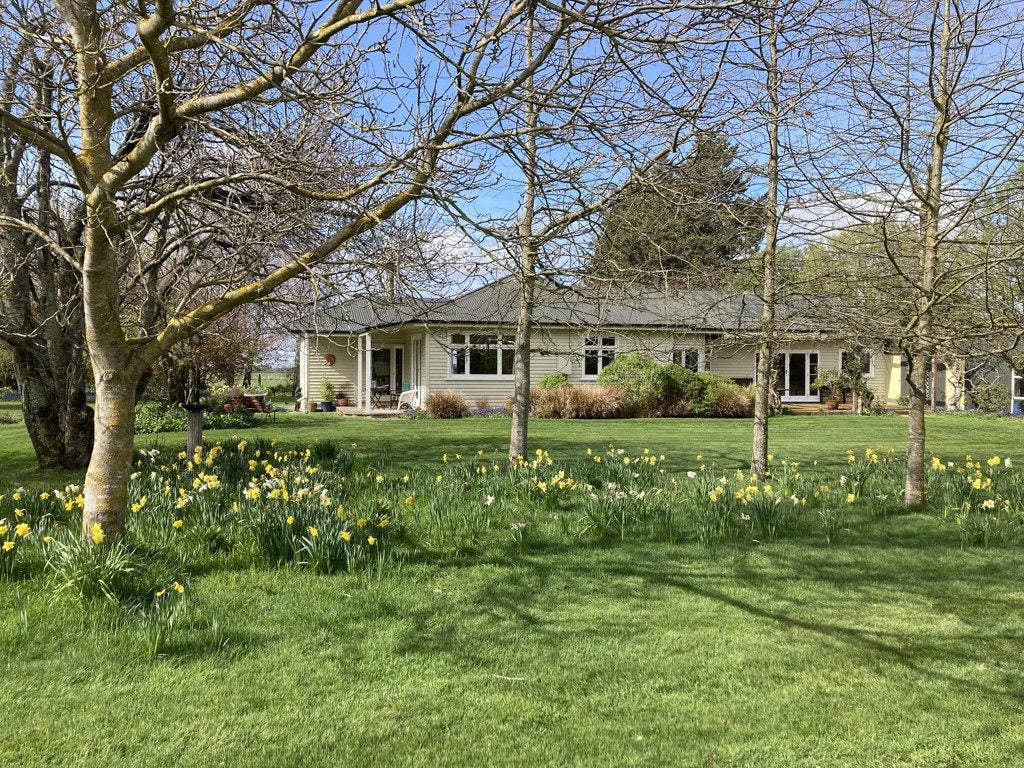 282 Back Track, Rakaia - Carousel 1