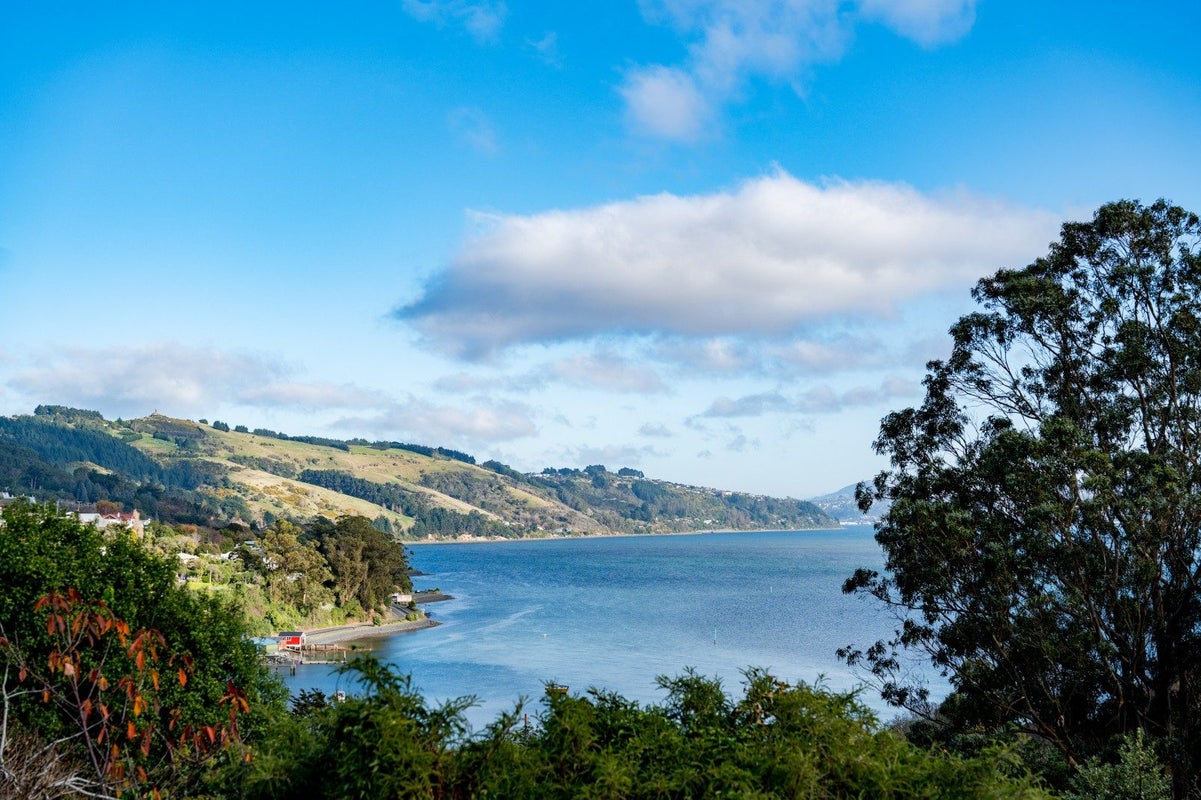 22 Wharfdale Street, Macandrew Bay, Dunedin - Carousel 2