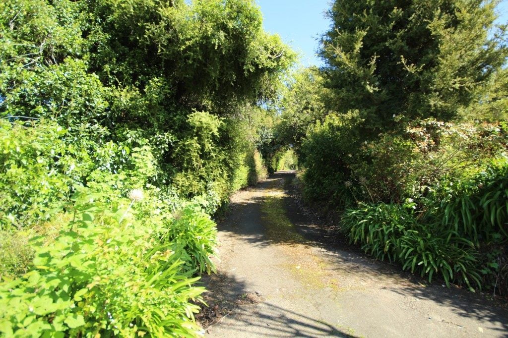 8A Croydon Street, North East Valley, Dunedin - Carousel 1