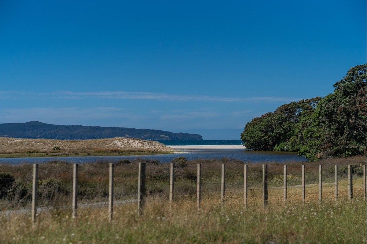 550 Black Jack Road, Opito Bay, Whitianga - Carousel 19