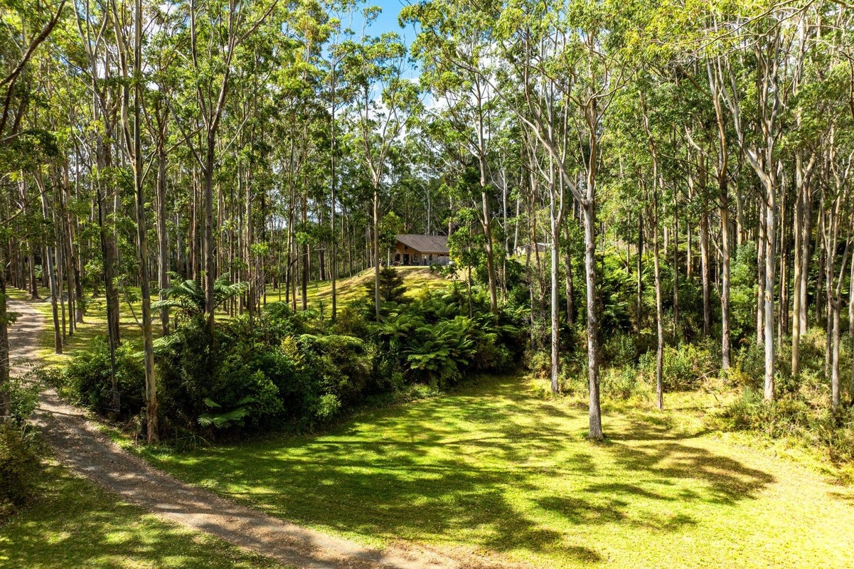 42 Oyster Point Road, Warkworth - Carousel 2