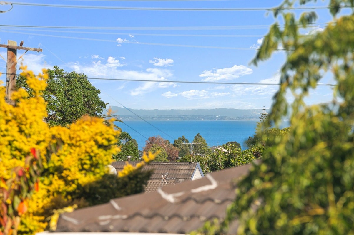 103 Golf Road, New Lynn, Auckland - Carousel 20