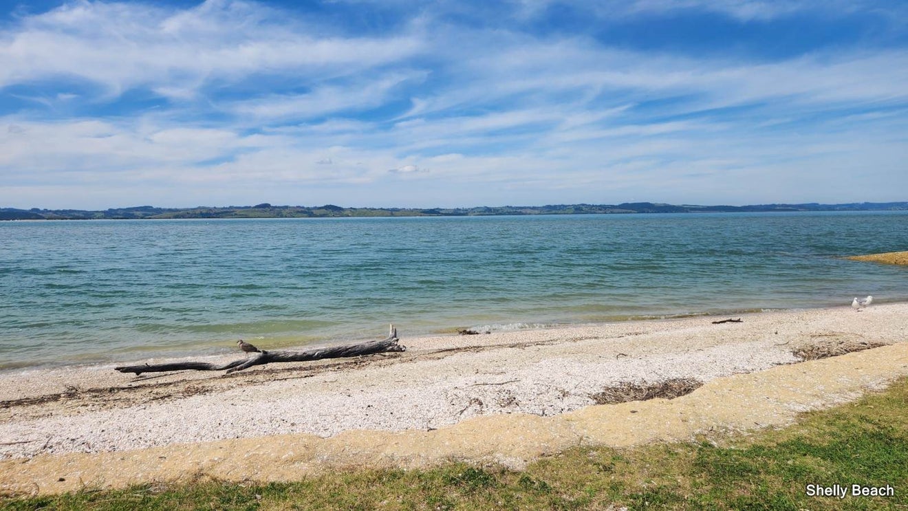 21 Omana Avenue, Helensville, Rodney, Auckland - Carousel 29
