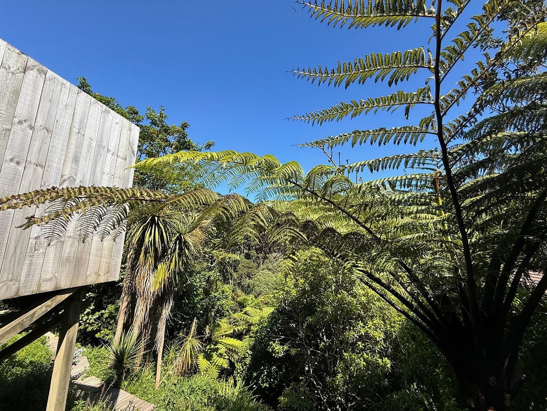 21 Asquith Terrace, Brooklyn, Wellington - Carousel 1