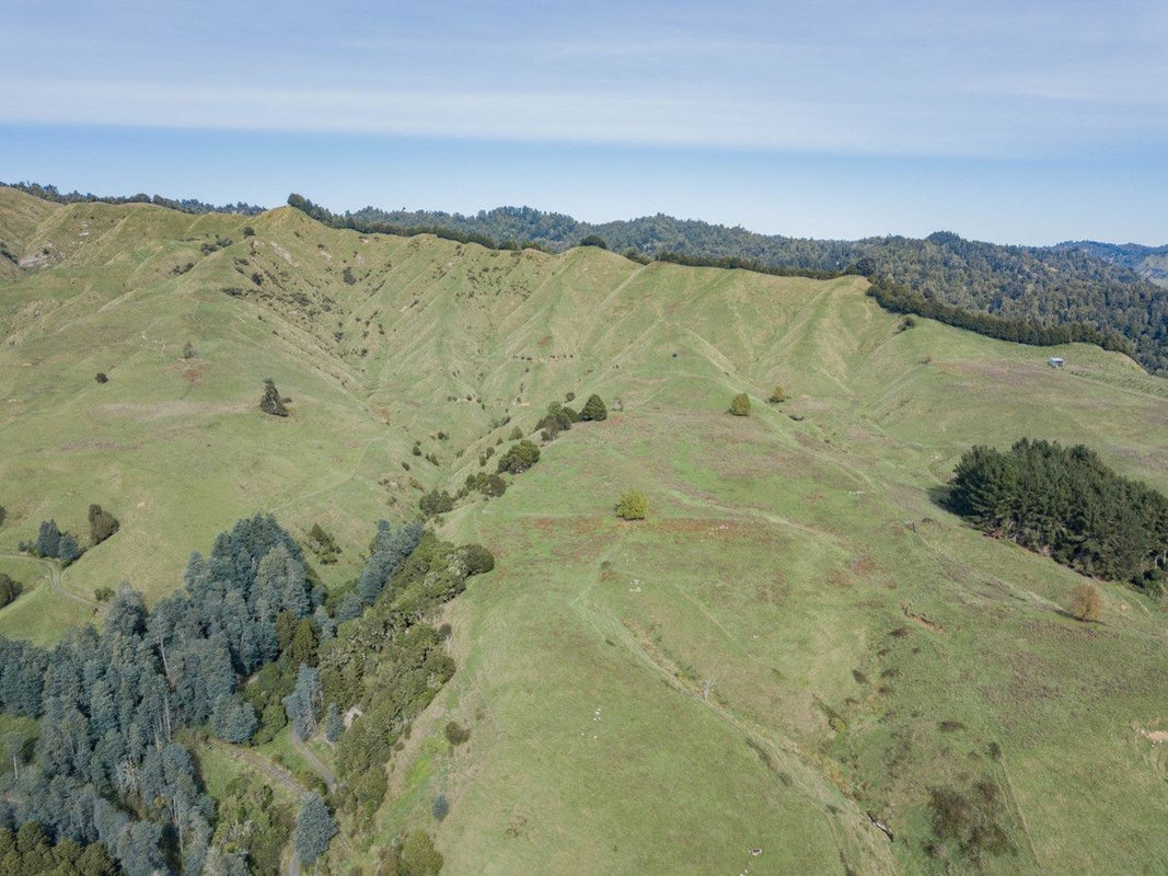 0 Takahue Saddle Road, Takahue, Kaitaia - Carousel 2