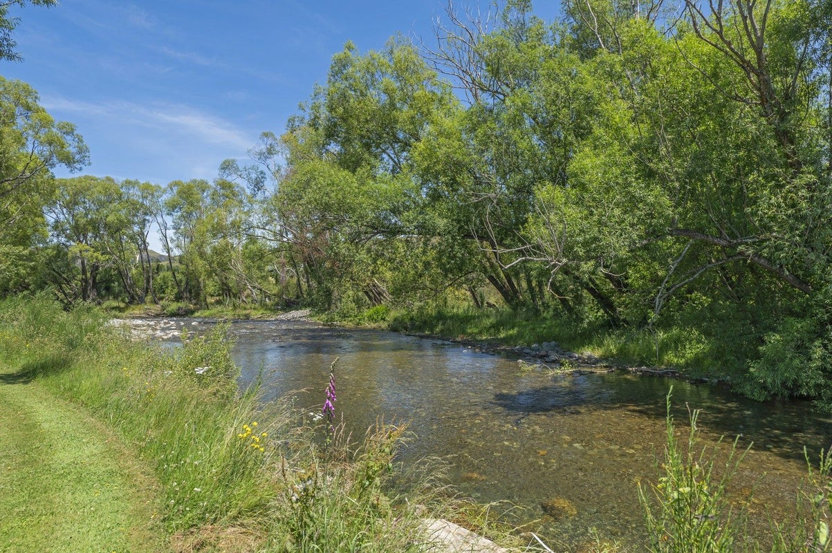 193 Whitecliffs Road, Coalgate - Carousel 50