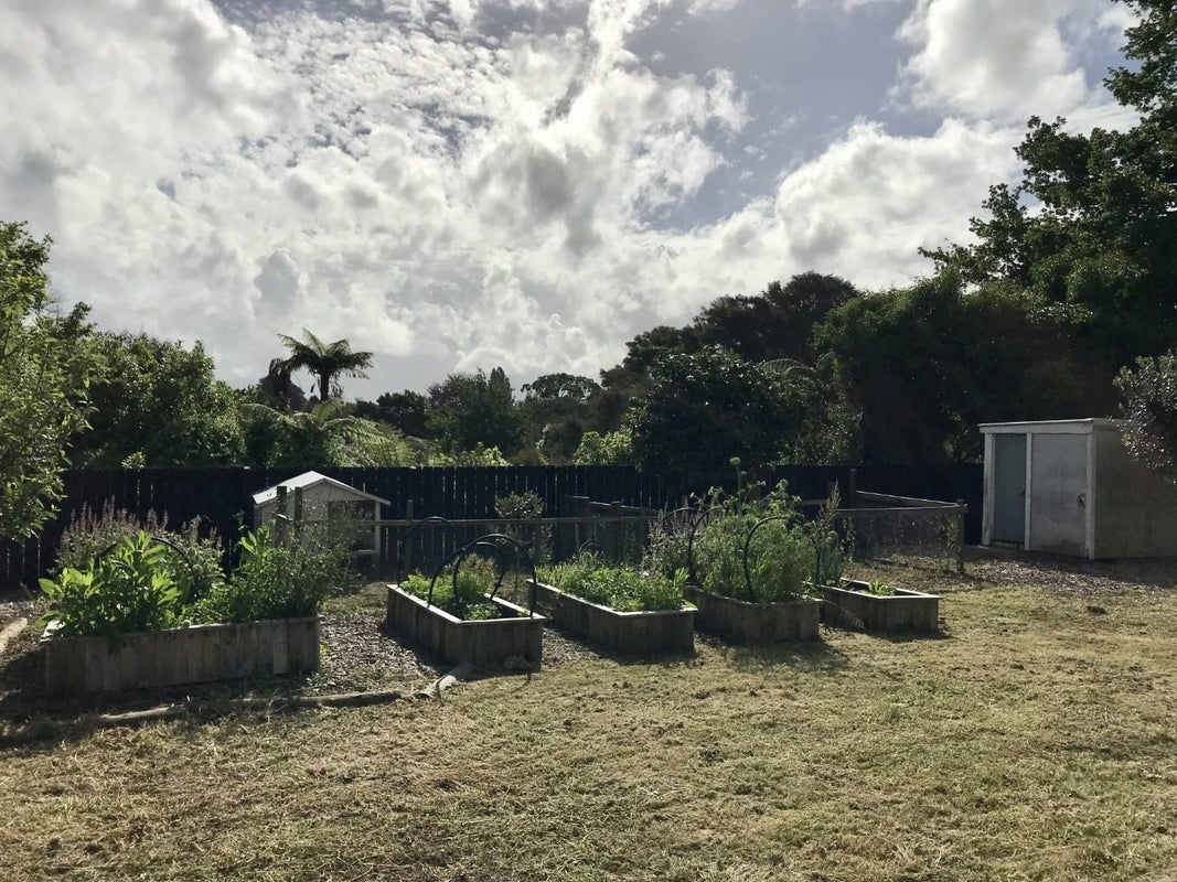 23 Balloch Street, Fairfield, Hamilton - Carousel 20