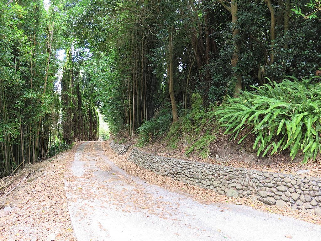 50 Colville Road, Dargaville - Carousel 27