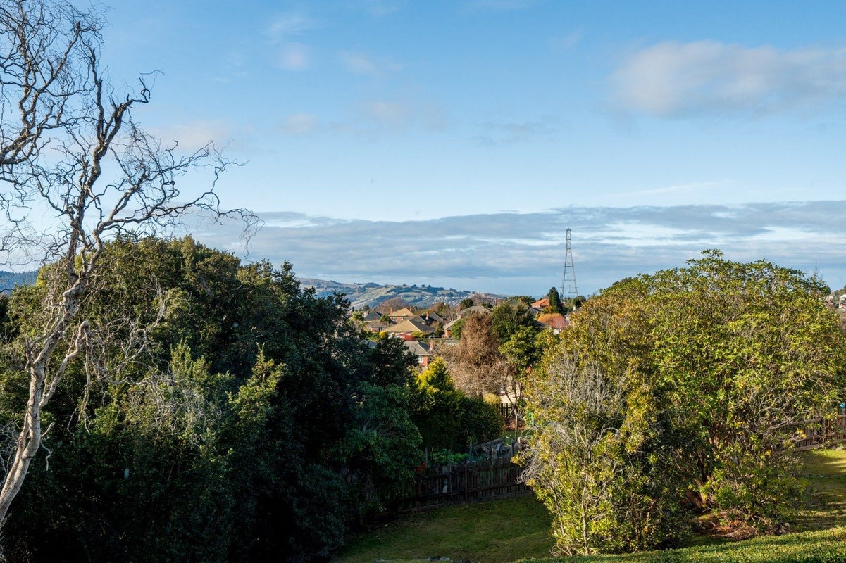 18 Honeystone Street, Helensburgh, Dunedin - Carousel 26