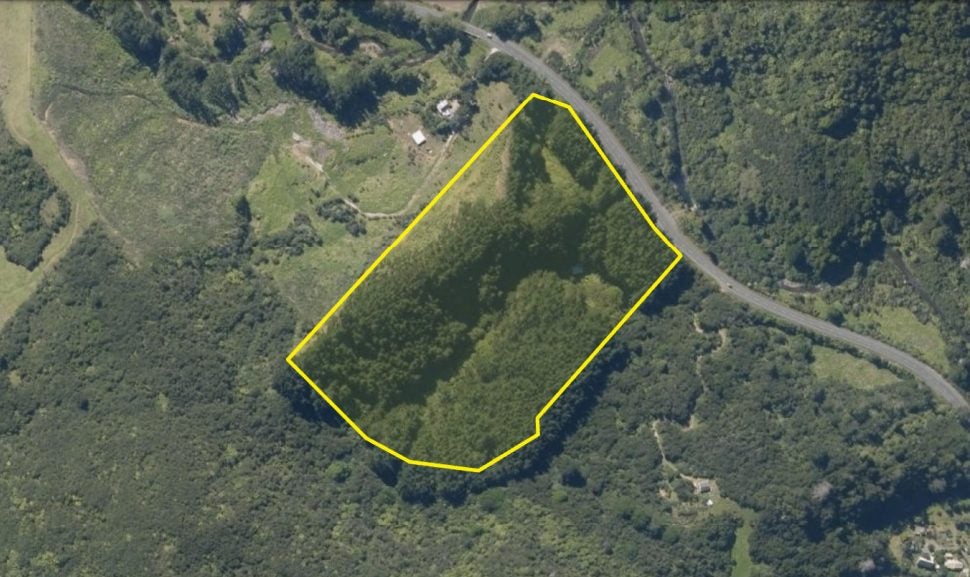 6133 State Highway 1, Kaitaia, Kaitaia - Carousel 29